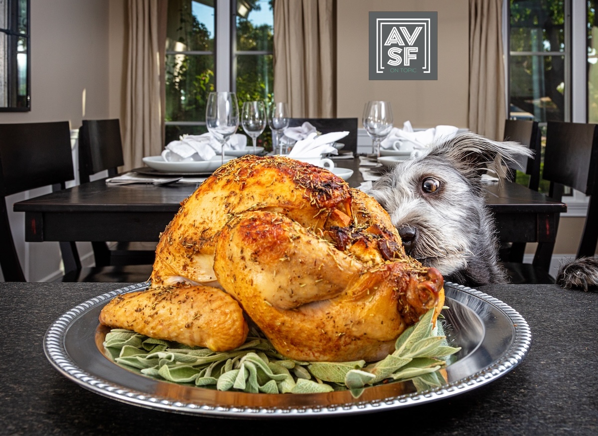 Dog Stealing Thanksgiving Turkey AVSuperfriends 1200x825