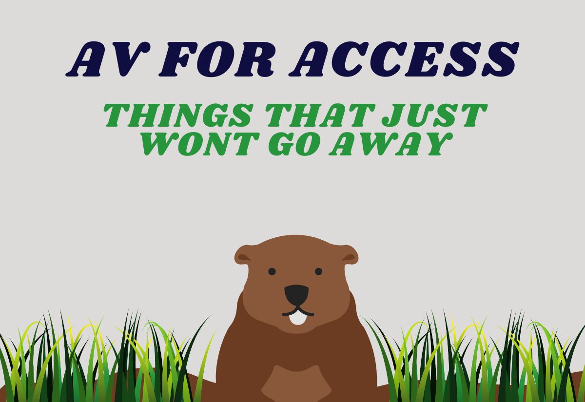AV for Access (1)