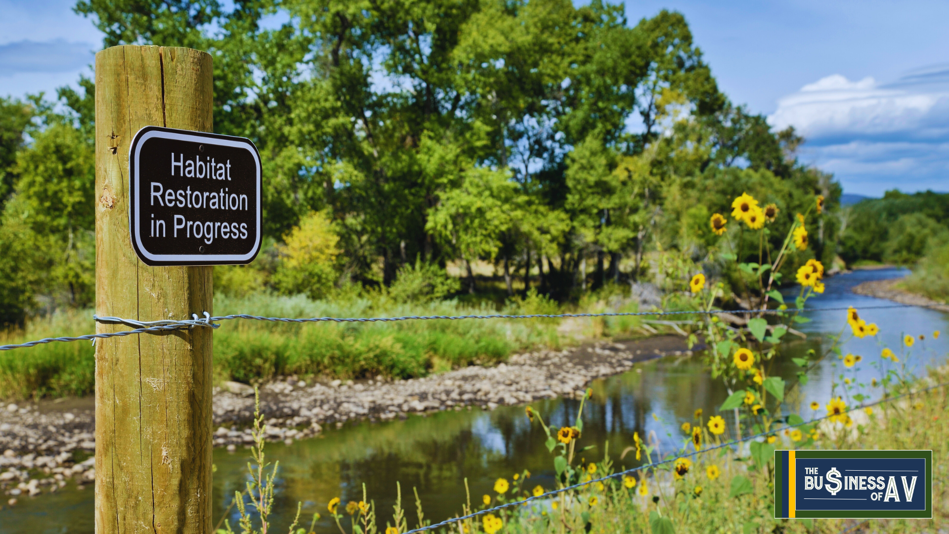 New Years Restoration Joe Way Business of AV