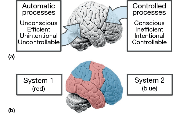 Two part diagram illustrating dual process theory with side views of the brain. The top panel contrasts automatic processes, described as unconscious, efficient, unintentional, and uncontrollable, with controlled processes, described as conscious, inefficient, intentional, and controllable. The bottom panel labels colored brain regions as System 1 in red and System 2 in blue.