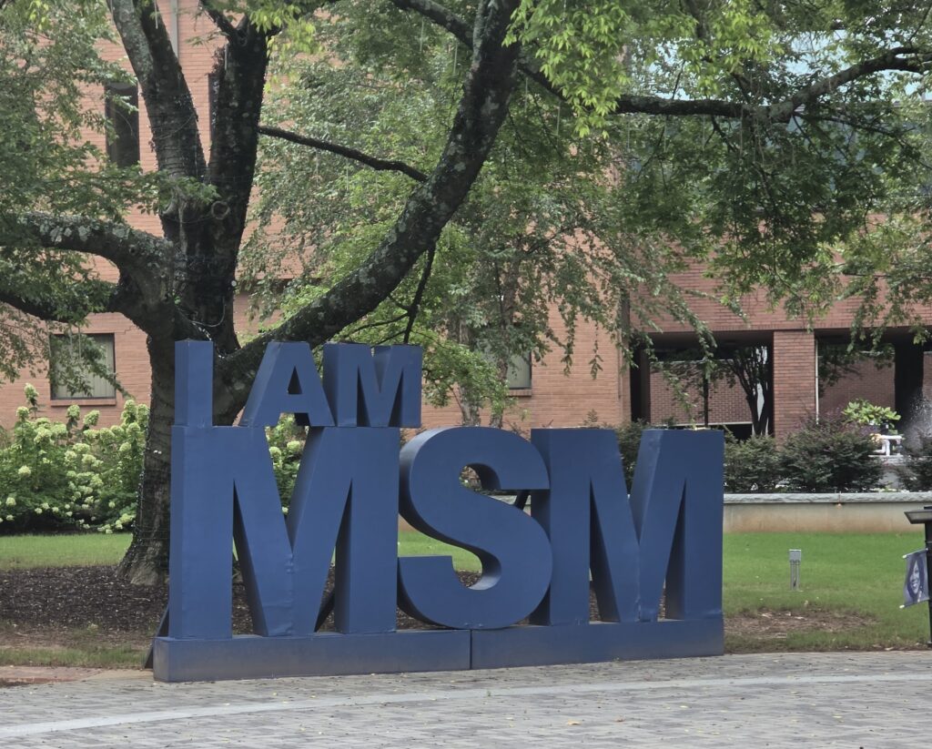 I AM MSM